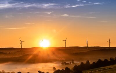 Wie sieht die Zukunft in der Energiebranche aus?